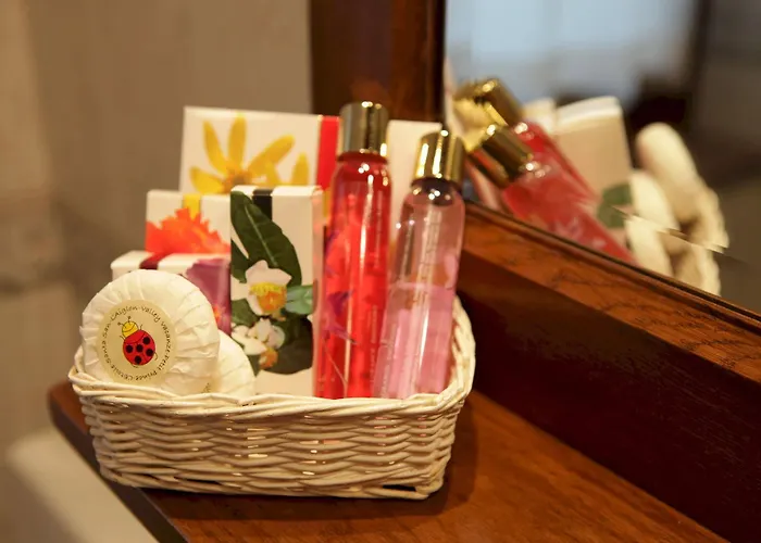 酒店 小王子酒店 3*